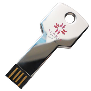 Key shape pen drive (PB5510)